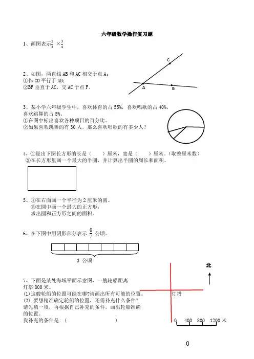 数学六年级下册总复习“操作题”专题复习