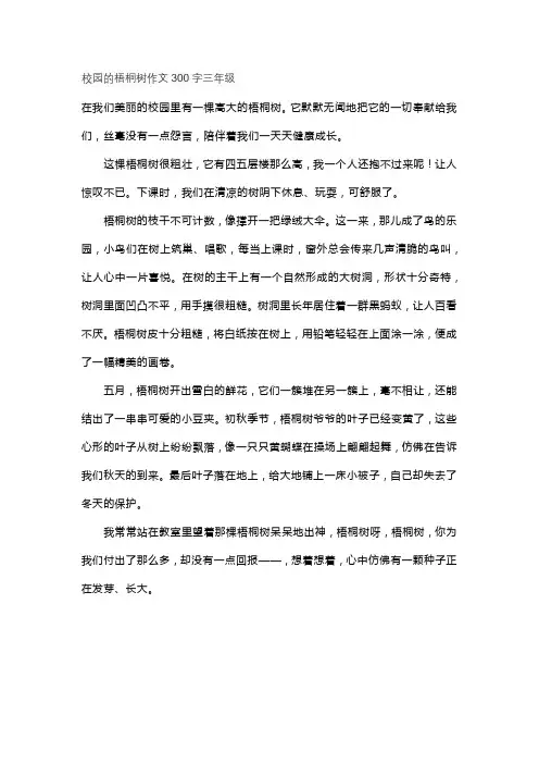 校园的梧桐树作文300字三年级