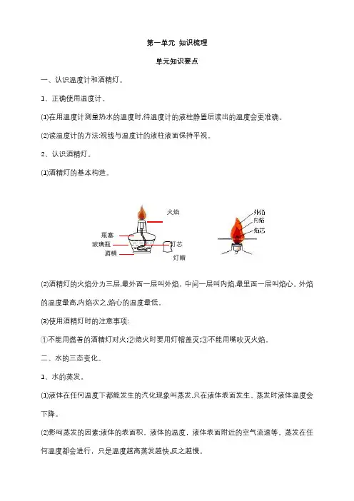 科学三年级上册第一单元 知识要点