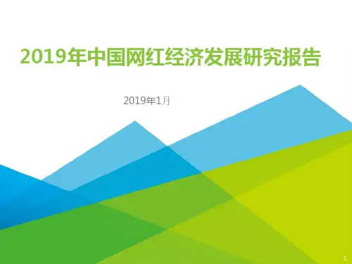 2019-2020年中国网红经济发展研究报告