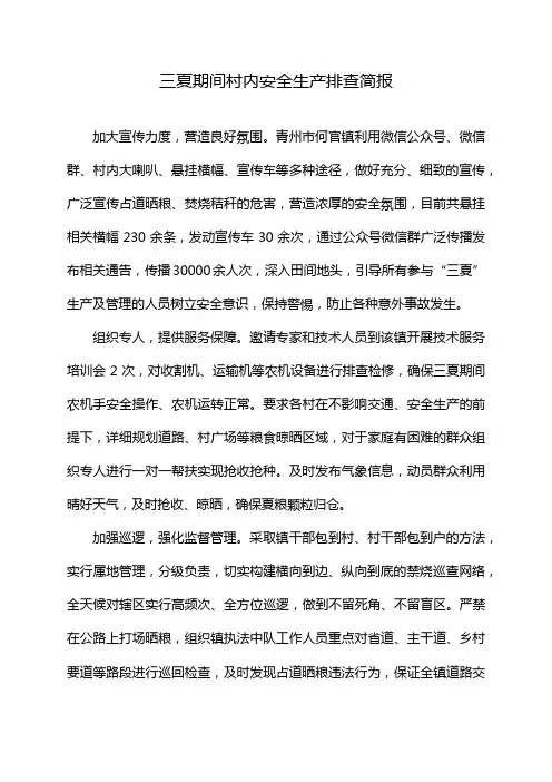 三夏期间村内安全生产排查简报