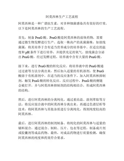 阿莫西林生产工艺流程