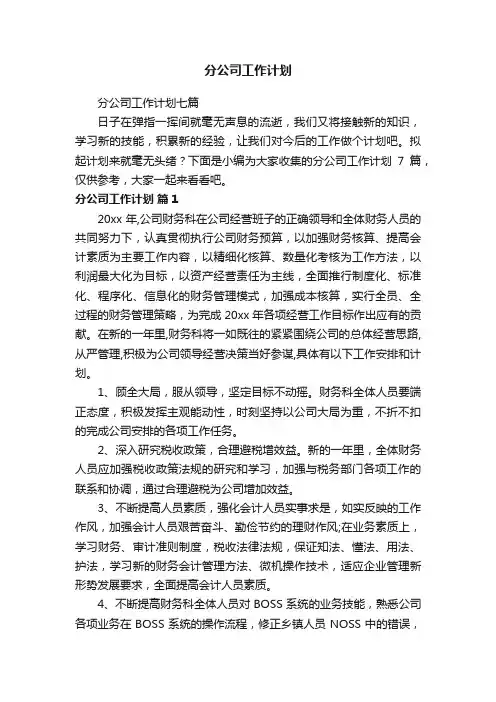 分公司工作计划