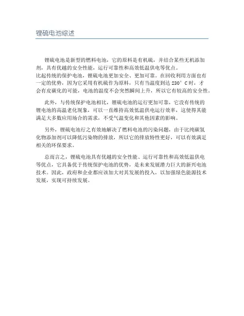 锂硫电池综述