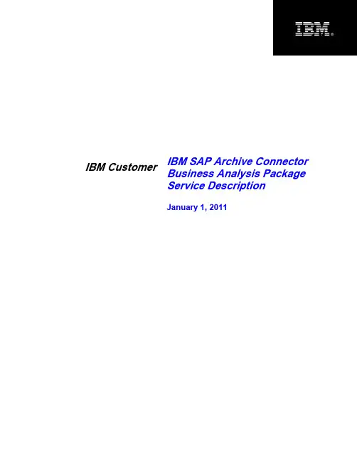 IBM SAP Archive Connector业务分析包服务说明书