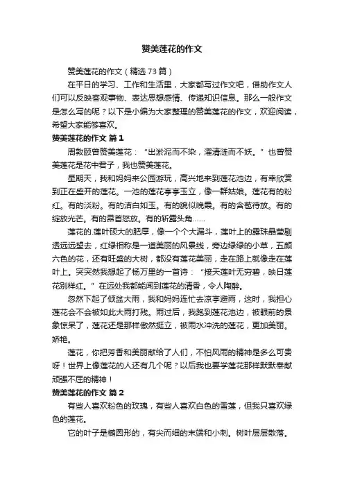 赞美莲花的作文