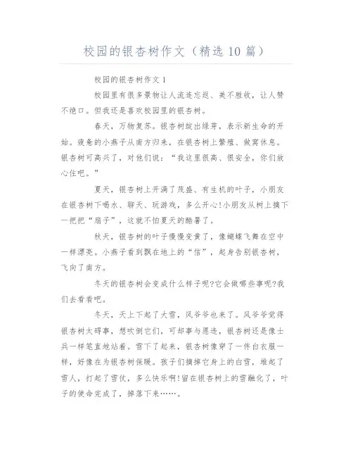 校园的银杏树作文(精选10篇)