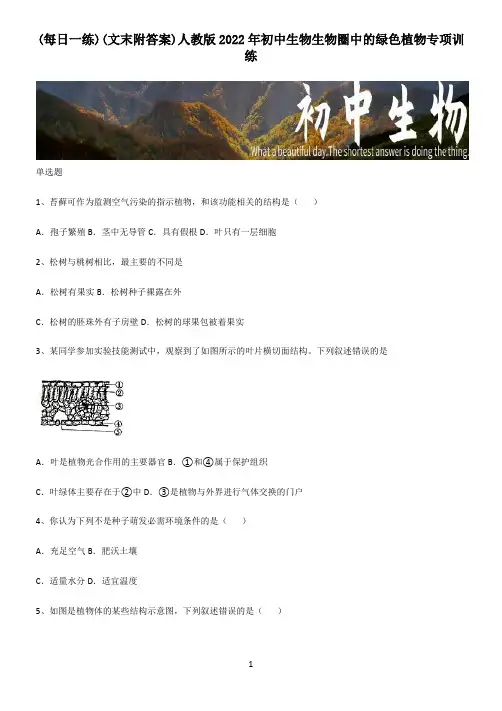 (文末附答案)人教版2022年初中生物生物圈中的绿色植物专项训练