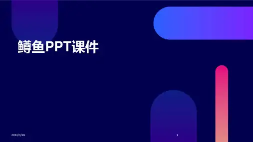 (2024年)鳟鱼PPT课件