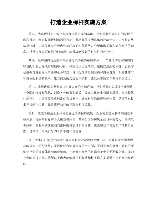 打造企业标杆实施方案