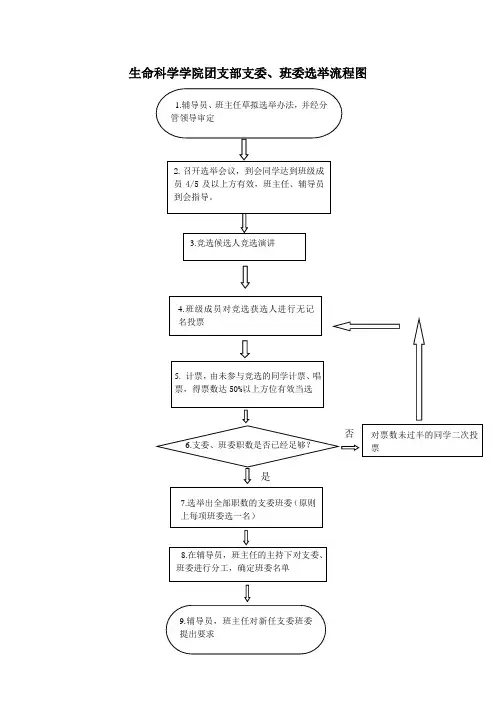 生命科学学院团支部支委班委选举流程图