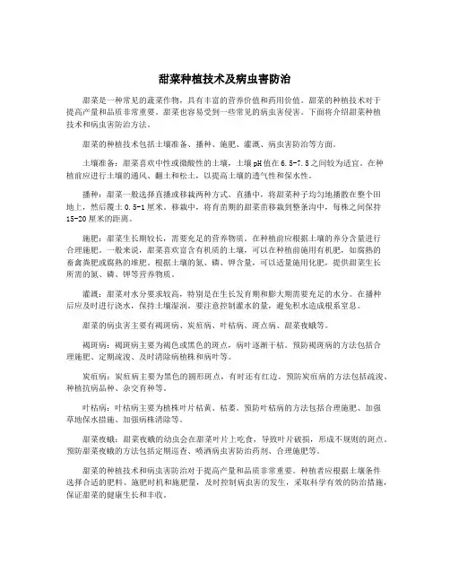 甜菜种植技术及病虫害防治