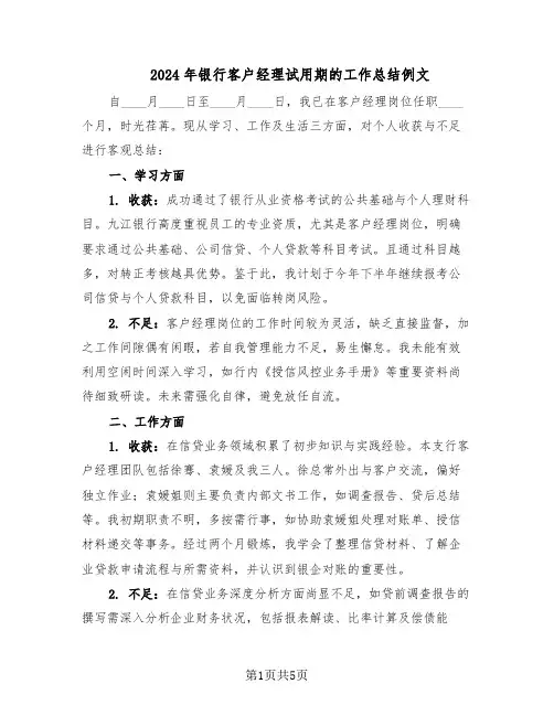 2024年银行客户经理试用期的工作总结例文（3篇）