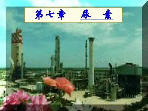 化工工艺学-PPT课件