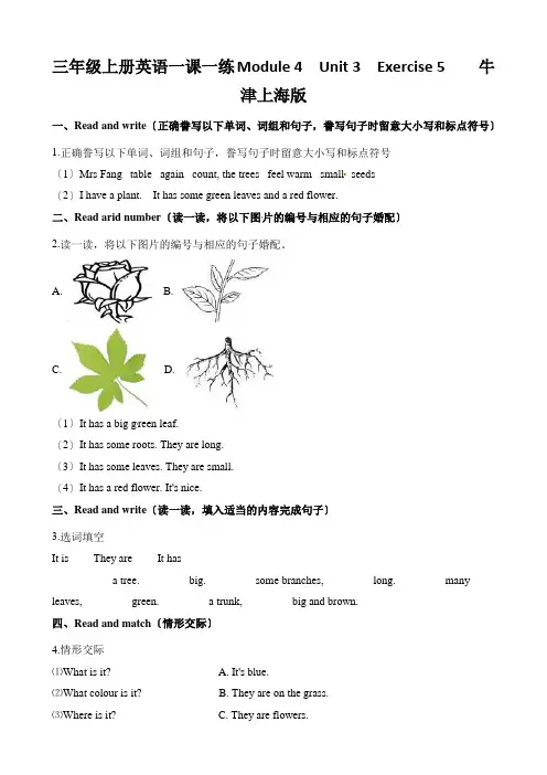 三年级上册英语一课一练Module 4  Unit 3  Exercise 5    牛津上海版