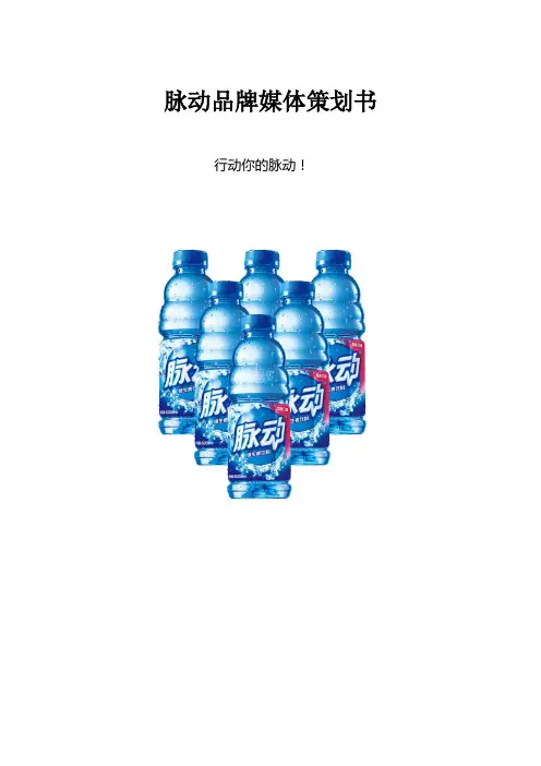 脉动媒体策划书终稿演示教学