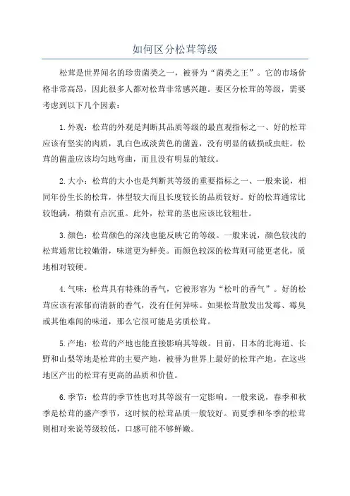 如何区分松茸等级