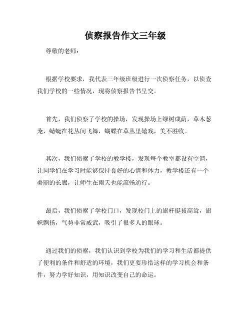 侦察报告作文三年级