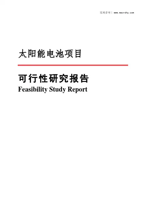 太阳能电池项目可行性研究报告