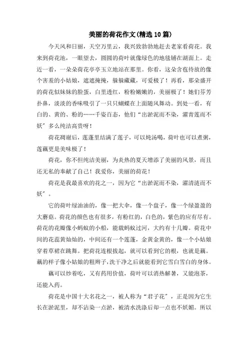 美丽的荷花作文(精选10篇)范文