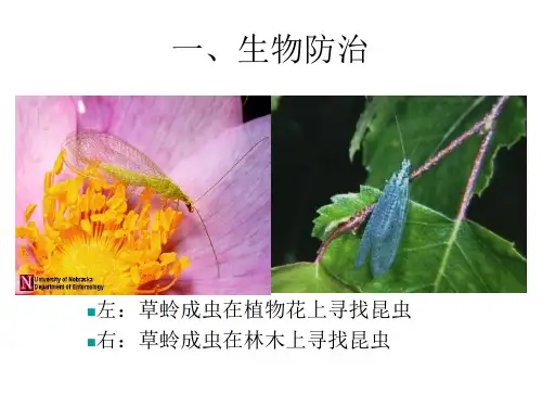 一生物防治.ppt