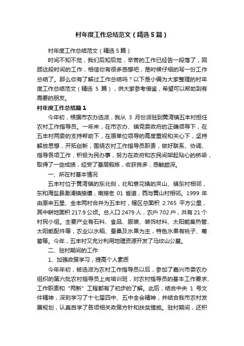 村年度工作总结范文（精选5篇）