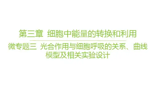 苏教版高中生物学必修1精品课件 第三章 微专题 光合作用与细胞呼吸的关系、曲线模型及相关实验设计