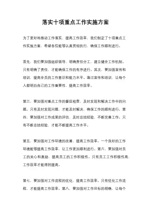 落实十项重点工作实施方案