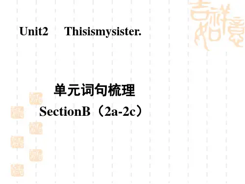 人教版七年级上册英语unit 2  单元词句梳理Section B(2a-2c)