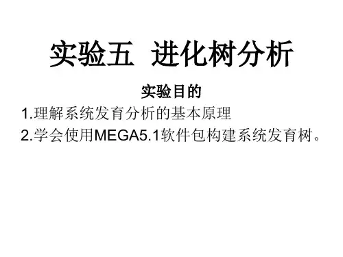 MEGA5构建系统发育树