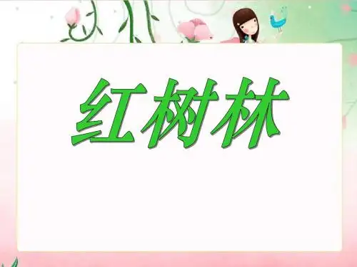 《红树林》PPT课件4