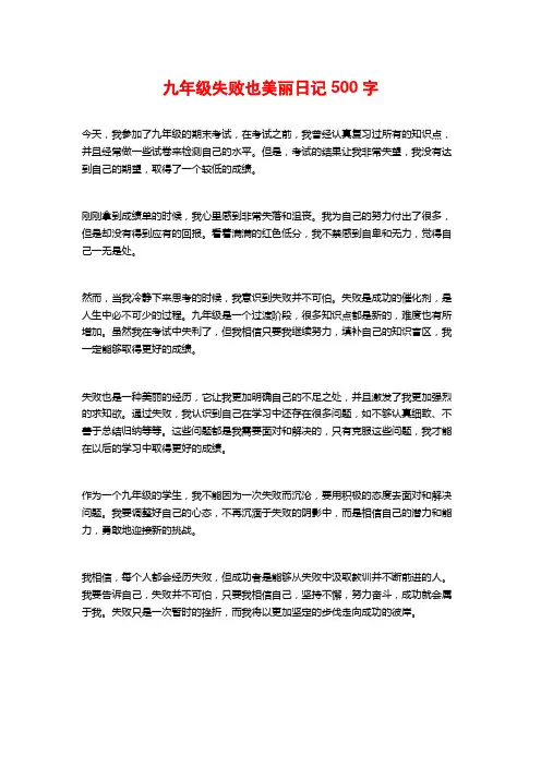 九年级失败也美丽日记500字