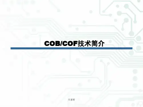 COB技术简介 PPT
