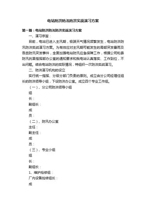电站防洪防汛防洪实战演习方案