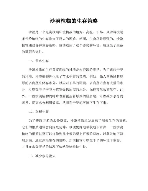 沙漠植物的生存策略