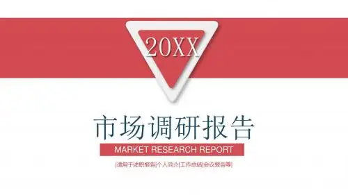 框架完整市场调研报告工作总结计划PPT