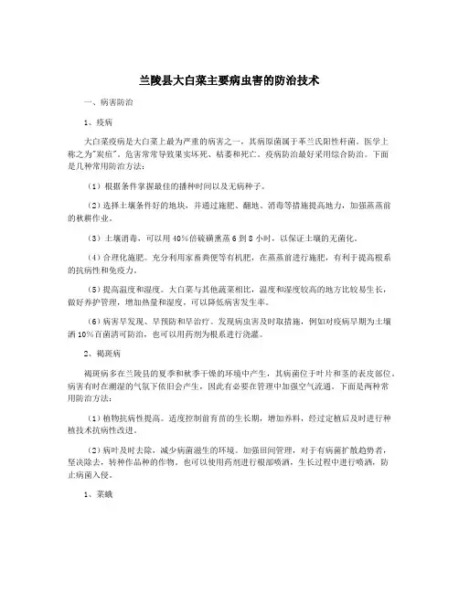 兰陵县大白菜主要病虫害的防治技术