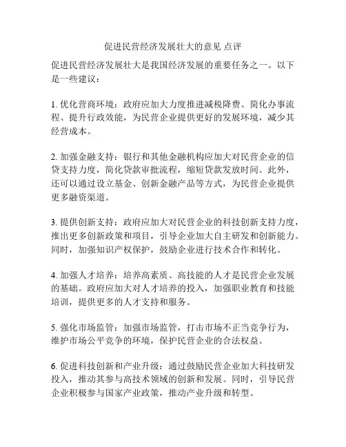 促进民营经济发展壮大的意见 点评
