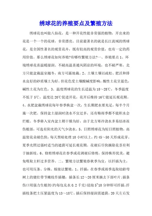 绣球花的养殖要点及繁殖方法