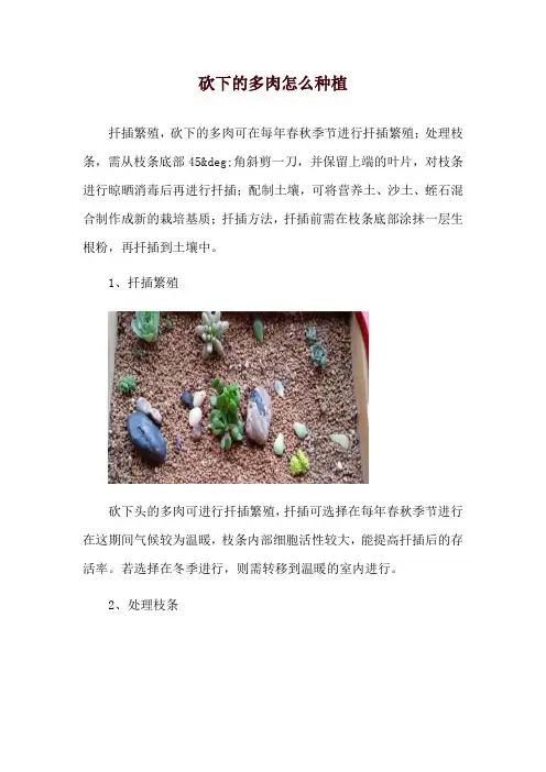 砍下的多肉怎么种植