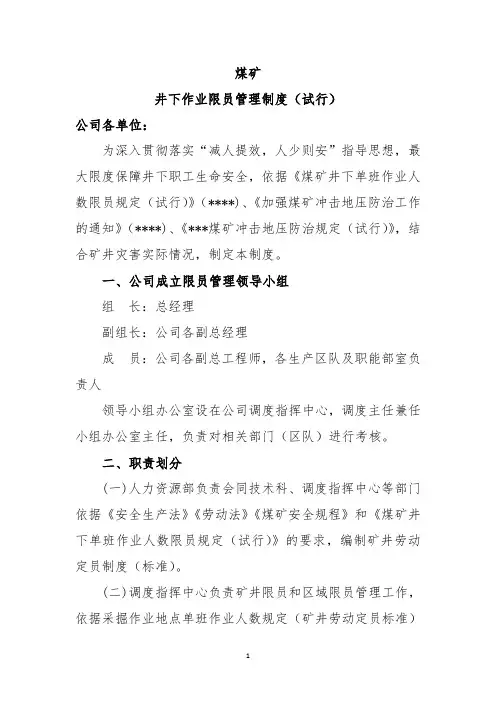 煤矿限员管理规定