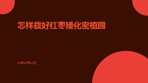 怎样载好红枣矮化密植园