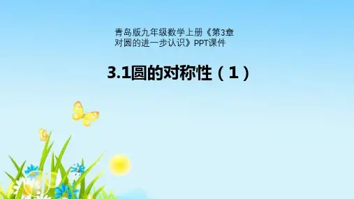 青岛版九年级数学上册《第3章对圆的进一步认识》PPT课件