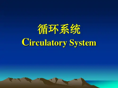 循环系统正常及基本病变影像表现PPT