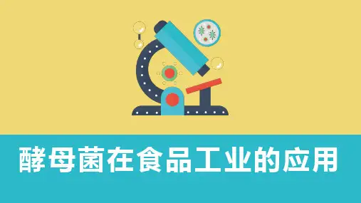 微生物在食品工业中的应用—酵母菌在食品工业的应用(食品微生物检验技术课件)