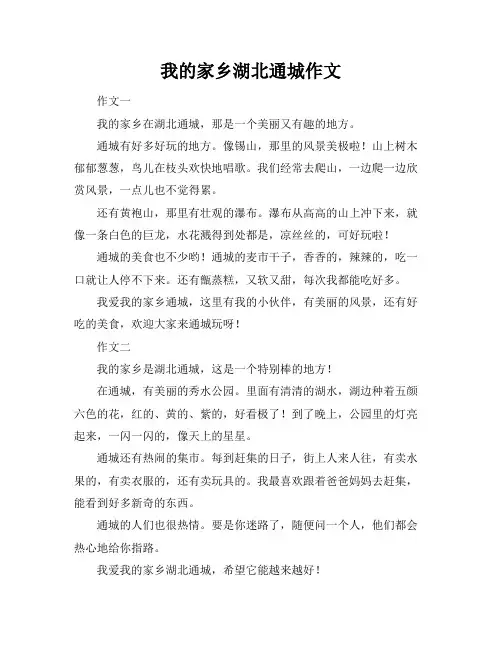 我的家乡湖北通城作文