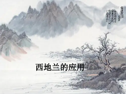 西地兰的应用ppt课件