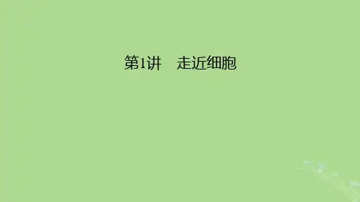2025版高考生物必修1第1单元走近细胞和组成细胞的分子第1讲走近细胞