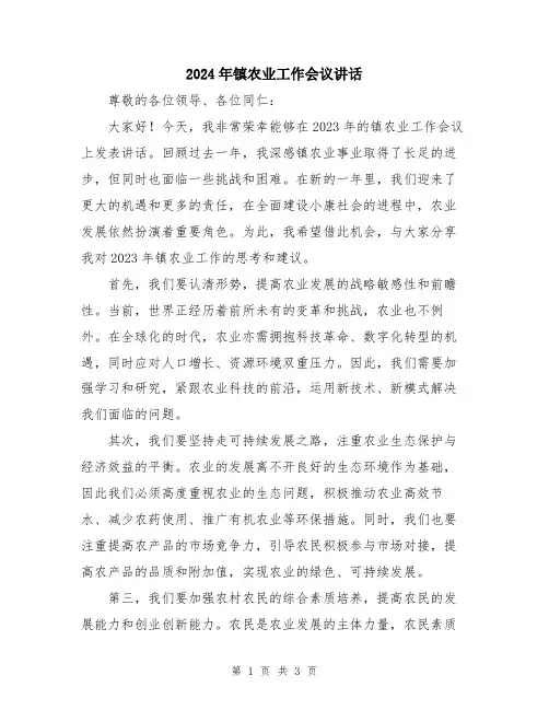 2024年镇农业工作会议讲话