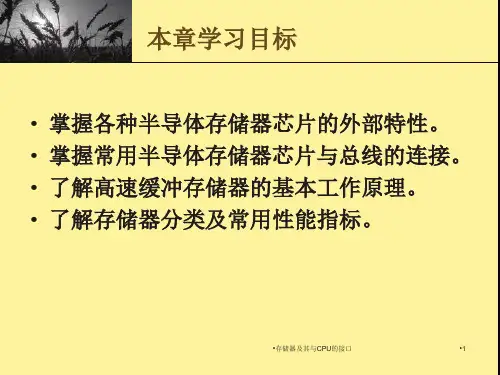 存储器及其与CPU的接口课件